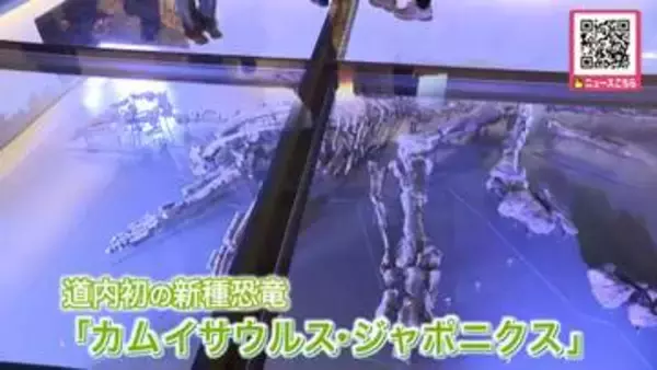 【北海道で初】恐竜博物館が誕生！目玉は新種「カムイサウルス・ジャポニクス（むかわ竜）」全長約8mの"実物全身骨格化石"石破・前総理も大満足〈北海道むかわ町〉