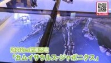【北海道で初】恐竜博物館が誕生！目玉は新種「カムイサウルス・ジャポニクス（むかわ竜）」全長約8mの"実物全身骨格化石"石破・前総理も大満足〈北海道むかわ町〉