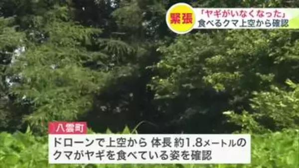 【ヒグマ速報】体長1.8メートルのクマがヤギを襲う…ペットとして飼われていたメスのヤギが姿を消したためドローンで周辺を捜索したところ"食べる姿"を確認＜北海道八雲町＞