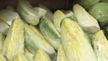 【いま野菜がオトク】キャベツや大根が2～3割値下がり 高値続くタマゴとコメ 安くなるのはいつ？タマゴは年末まで今の状態が続く可能性も…＜北海道＞