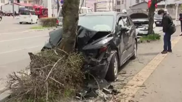 【最新】3台絡む事故で街路樹に突っ込んだ乗用車を運転していた50代ぐらいの男性が死亡_警察が事故原因を捜査〈北海道函館市〉