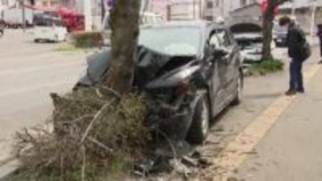 【最新】3台絡む事故で街路樹に突っ込んだ乗用車を運転していた50代ぐらいの男性が死亡_警察が事故原因を捜査〈北海道函館市〉