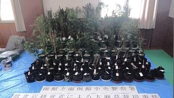 【一室から大麻草47本と乾燥大麻も】共同住宅で栽培し所持した疑いで飲食店経営の39歳男を逮捕＿別件捜査の中で容疑が浮上…テントや肥料・LEDライトも押収「営利目的は違う」容疑を一部否認〈北海道函館市〉