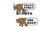 「【ヒグマ】クマはどこへ？春期管理捕獲で駆除されたクマはわずか1頭のみ…実は冬眠明けを自ら遅くしている可能性が…山菜シーズン到来で一気に目覚める恐れ『今週末ぐらいを目指して起きてくる、活性化してくる』」の画像1