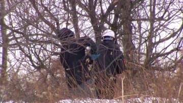 【釧路湿原周辺のメガソーラー】工事中断要請から一夜…新たな場所で工事強行！釧路市が昭和地区の工事中断申し入れ直後に大楽毛地区で着工＿湿原周辺で木の伐採作業始める〈北海道〉