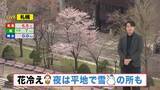 「【北海道の天気 24日(金)】花冷え…夜はオホーツク海側で雪の所も！週末は広く晴れ　最新サクラ情報も」の画像1