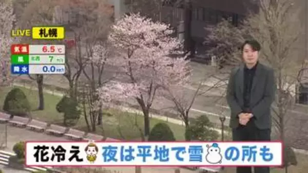 【北海道の天気 24日(金)】花冷え…夜はオホーツク海側で雪の所も！週末は広く晴れ　最新サクラ情報も