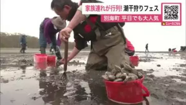 特大アサリを掘り当てたい！『潮干狩りフェスティバル』家族連れなどが行列なして大にぎわい～初日は約500人参加「ごま油で炒めるとおいしい」21日まで〈北海道別海町〉