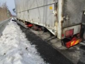 高速道路を走行中のトラックの左後輪から"ダブルタイヤ"脱落＿衝突事故やケガ人なしも路面が削れる被害＿60代ドライバー「11月上旬に自分で冬タイヤに交換した」警察が注意を呼びかけ〈北海道森町〉