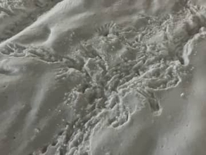 【最新】「ドン」という音“真冬のススキノ”で顔から出血した状態で倒れていた10代後半とみられる女性_建物から転落した可能性も...呼吸や脈はあるものの会話ができない状態で病院に搬送〈北海道札幌市〉