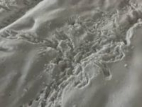 【最新】「ドン」という音“真冬のススキノ”で顔から出血した状態で倒れていた10代後半とみられる女性_建物から転落した可能性も...呼吸や脈はあるものの会話ができない状態で病院に搬送〈北海道札幌市〉