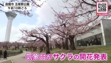 北海道でサクラ「5輪以上開花が観測されたので函館は開花宣言といたします！」函館地方気象台が発表―ようやく春らしい陽気に…札幌ではJR桑園駅出発し円山地区を歩きながら健康づくり『ウォーキングイベント』