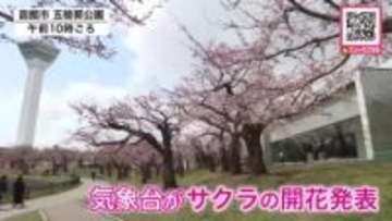 北海道でサクラ「5輪以上開花が観測されたので函館は開花宣言といたします！」函館地方気象台が発表―ようやく春らしい陽気に…札幌ではJR桑園駅出発し円山地区を歩きながら健康づくり『ウォーキングイベント』