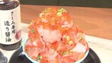 【GW2000円以内の日帰りコスパ旅】サケ稚魚を深く知れる無料体験！てんこもりのサーモン丼は1111円！？馬と自撮りができる！物価高でもGWを満喫＿千歳市の穴場スポットをご紹介＜北海道＞