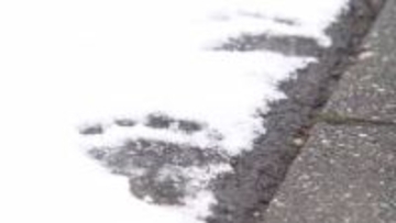 【ヒグマ速報】住宅街に大量の”足跡”「クマスプレー持ち歩いている」住民の不安高まる…9日にクマ侵入した円山動物園では再び出没→円山公園全域が閉鎖〈北海道札幌市中央区〉