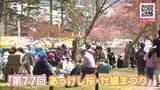 「『あっけし桜・牡蠣まつり』大勢の来場者で賑わう「プリプリしてて身が弾力あって美味しい」「100個くらい食べたい」1000本以上の桜見ながら旬の牡蠣を堪能！〈北海道厚岸町〉」の画像1