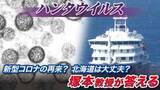 「【解説】ハンタウイルスがクルーズ船で感染拡大_致死率最大5割「特にアンデス型はエボラぐらい怖い」新型コロナのようなパンデミック再来はあるのか？専門家が解説」の画像1