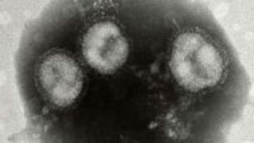 【今シーズン初となる警報が発令】札幌市でインフルエンザ感染拡大…患者数は前週の2.5倍に_小学校では学級・学年閉鎖が相次ぐ…市は人込み回避や手洗いの徹底を呼び掛け〈北海道〉