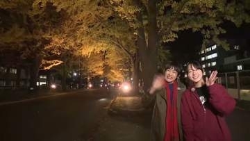 絶景！イチョウ並木がライトアップ…10月31日～2日間「北大金葉祭」開催を前に〈北海道大学の構内全長約380ｍ70本が鮮やかに彩る―祭り期間中は歩行者天国に…グルメや縁日が楽しめる〉北海道札幌市