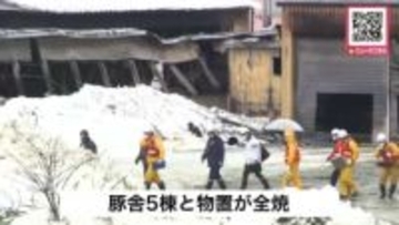 【ブタ数百匹が死んだか】豚舎5棟が全焼…飼育されていた約3万匹の一部は逃がすも被害に＿約9時間30分後に消し止められる『実況見分』で当時の状況調査へ〈北海道上富良野町〉