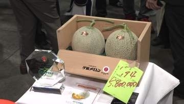 【史上最高値】夕張メロン初競りで2玉580万円！新車が買えるほどの超高級メロンを競り落とした東京のスーパーとは？生産者も驚愕の価格で7年ぶりに記録更新〈北海道・札幌市中央卸売市場〉