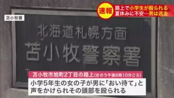 「おい、待て」と声をかけられ…小学5年生の女の子が路上で男に頭部を殴られる 逃走中の男は『20歳ぐらい・身長180センチほど・黒パーカー・サングラス着用』〈北海道苫小牧市〉