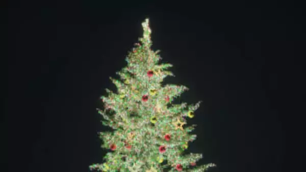 【クリスマスイブ】北海道の街が光で彩られる～大通り公園は約77万個・函館は約15万個のイルミネーション！小樽はライトアップ「青の運河」も！暖かな気温で天気は雨＆路面はツルツル・ベチャベチャ＿足元に注意