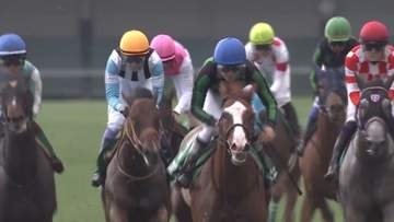 【函館2歳S】横山和生騎手の9番人気フェリチタが差し切り、世代最初の重賞を制す　タワーオブロンドン産駒