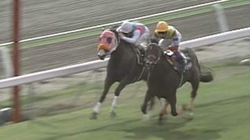 【函館3歳ステークス】1997年アグネスワールドがレコードタイムでデビュー2連勝　武豊はこのレースでJRA全10場重賞制覇を達成