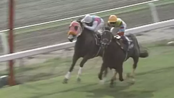【函館3歳ステークス】1997年アグネスワールドがレコードタイムでデビュー2連勝　武豊はこのレースでJRA全10場重賞制覇を達成