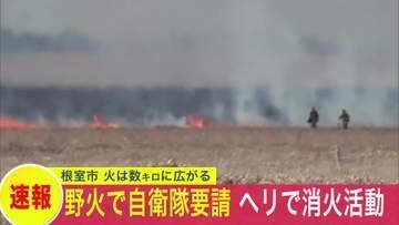 【数キロにわたって広がる火】北海道根室市で大規模な野火火災が発生…167世帯357人に避難指示…道は自衛隊に"災害派遣"を要請…ヘリで消火活動も