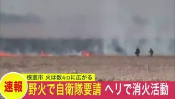 【数キロにわたって広がる火】北海道根室市で大規模な野火火災が発生…167世帯357人に避難指示…道は自衛隊に"災害派遣"を要請…ヘリで消火活動も