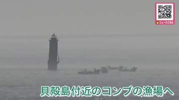 北方領土の貝殻島周辺のコンブ漁始まる_初日の水揚げは少なく厳しい船出…約180隻が一斉に出漁〈北海道根室市〉