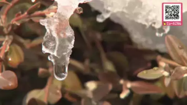 【北海道もぽかぽか春の気配？】函館で11℃予想＿札幌は最低気温がプラス！日中は8℃予想も＿積雪多い地域では急な雪解けの恐れ…屋根からの落雪や道路状況の変化に注意を