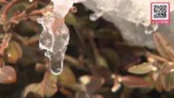 【北海道もぽかぽか春の気配？】函館で11℃予想＿札幌は最低気温がプラス！日中は8℃予想も＿積雪多い地域では急な雪解けの恐れ…屋根からの落雪や道路状況の変化に注意を