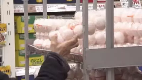 【年末年始の食材買うなら「12月15日」】物価高が家計を直撃する中…海産物は早めに購入し冷凍保存_卵も餅も値上がり_買うなら「15日」が狙い目…そのワケは？〈札幌市〉