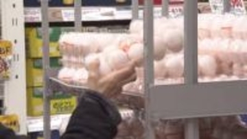 【年末年始の食材買うなら「12月15日」】物価高が家計を直撃する中…海産物は早めに購入し冷凍保存_卵も餅も値上がり_買うなら「15日」が狙い目…そのワケは？〈札幌市〉