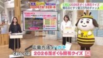 北海道【菅井さんの天気予報 13日(月)】「芝ざくら開花日予報クイズ」が滝上町で開催中！3万円獲得に大きなヒントも…