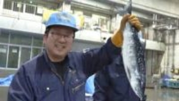 漁港にも春！トキシラズなど200キロ＿4月解禁の日本200海里内サケ・マス漁で初水揚げ＿花咲港と厚岸港に計3隻＿ロシア側に協力金支払いベニザケなど2050トン目指す（北海道 根室市）