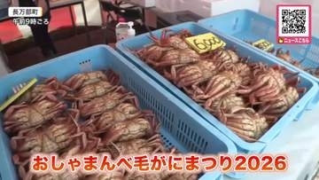 「毛がにまつり」開催！『90秒の早食い競争』ではゴツゴツの殻ごと口の中に入れる強者も！優勝者には“毛ガニ20杯”プレゼント_新鮮な毛ガニ求めて朝から長蛇の列が＜北海道長万部町＞