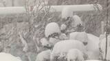 「【雪が降り続けています…】札幌でこの冬一番の大雪に！24時間で“43センチ”一時は吹雪に＿歩道は通れず車道歩く危険な状態＿今季初の大雪警報も発表」の画像1