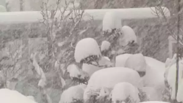 【雪が降り続けています…】札幌でこの冬一番の大雪に！24時間で“43センチ”一時は吹雪に＿歩道は通れず車道歩く危険な状態＿今季初の大雪警報も発表