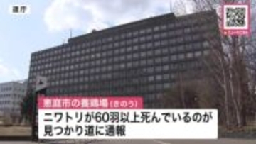 【鳥インフルか】北海道恵庭市の養鶏場で「ニワトリ60羽以上が死んでいる」と道に通報…簡易検査で高病原性鳥インフルエンザの疑い_感染が確定すれば採卵用ニワトリ23.6万羽が殺処分に