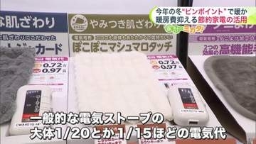【今年の冬は“ピンポイント”で暖か】電気毛布は電気ストーブの約15～20分の1の電気代？「履く温泉」「ダウンパンツ」も人気―暖房費を賢く抑える工夫“一人ずつ暖まる”節約アイテムを要チェック