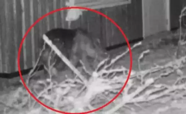 「ホッケ」に執着したか？動物園に出没を繰り返していたクマを駆除―別の個体がいないか安全が確認されるまで休園延長―17日から営業再開へ＜北海道札幌市・円山動物園＞