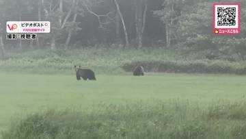 【ヒグマ速報】関係は？2頭が一緒にいる姿をカメラが捉える―JR別当賀駅近くの草地にクマ出没〈前日にはJRの運転士が列車から2頭を目撃…同一個体か〉警察がパトロールを強化_北海道根室市