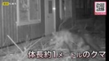 【札幌の円山動物園に出没したクマ】園内施設のエサを狙って侵入を繰り返した可能性“シマフクロウ用のホッケ”などがなくなる〈北海道〉