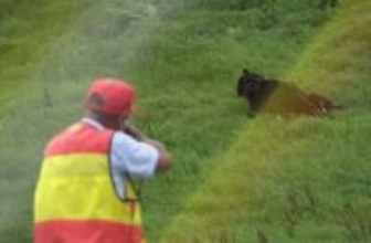 【ハンター試験で出題ミス】狩猟免許の"知識試験"で鳥獣捕獲に関し「正解のない問題」を出題…"全員正解"扱いとなり新たに2人が合格、次の"技能試験"へ＜北海道＞