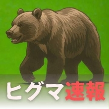 新聞配達員の男性が目撃…住宅街に体長約1.5ｍのクマのような動物_原付バイクで配達中に…市職員やハンターが現場調査も痕跡なし〈北海道岩見沢市〉