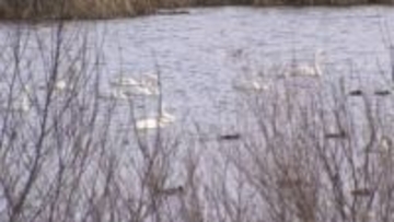 ＼旅のプロが教える／札幌近郊の穴場スポット！古民家カフェにガレット専門店―長沼町の隠れ名所巡り 世界に一つだけのグラス作り体験も＜北海道＞